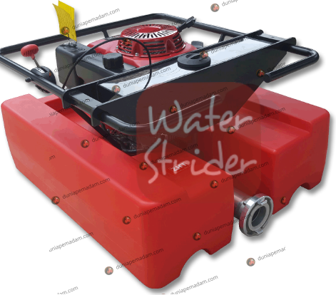waterstrider